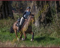 1CHASSE0044