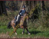 1CHASSE0045