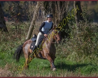 1CHASSE0046
