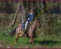 1CHASSE0047