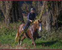1CHASSE0053