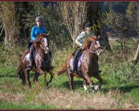 1CHASSE0054