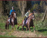 1CHASSE0055