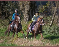 1CHASSE0056