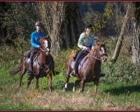 1CHASSE0057