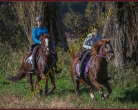 1CHASSE0060