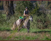 1CHASSE0069