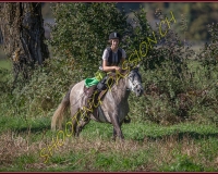 1CHASSE0070