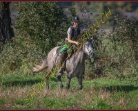 1CHASSE0072