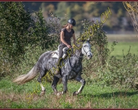 1CHASSE0073
