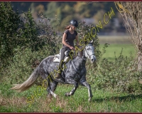 1CHASSE0074