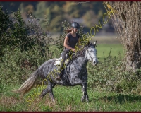 1CHASSE0075