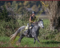1CHASSE0076