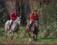1CHASSE0083