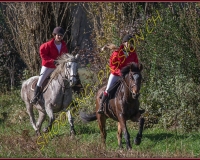 1CHASSE0085