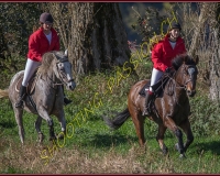 1CHASSE0089