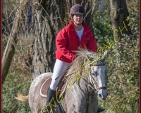 1CHASSE0093