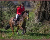 1CHASSE0094