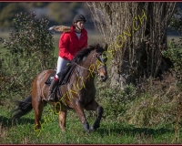 1CHASSE0095