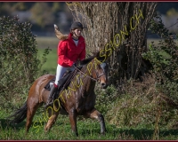 1CHASSE0096