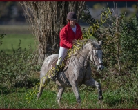 1CHASSE0100