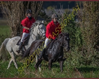 1CHASSE0103