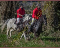 1CHASSE0105