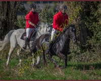 1CHASSE0106