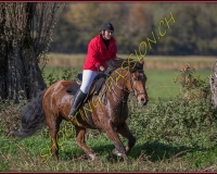 1CHASSE0119