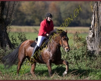 1CHASSE0120
