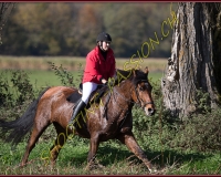1CHASSE0121