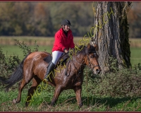 1CHASSE0122
