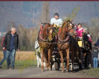 1CHASSE0133