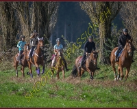 1CHASSE0155