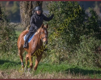 1CHASSE0160