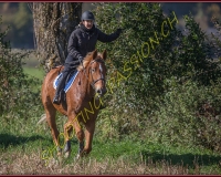 1CHASSE0161