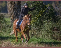 1CHASSE0162