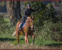 1CHASSE0163