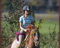 1CHASSE0171