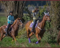1CHASSE0183