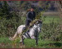 1CHASSE0187