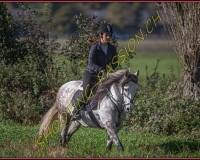 1CHASSE0188