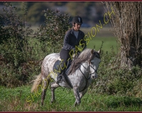 1CHASSE0189