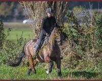 1CHASSE0196
