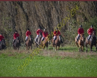1CHASSE0207