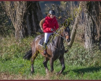 1CHASSE0214
