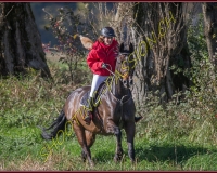 1CHASSE0217