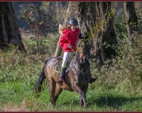 1CHASSE0218