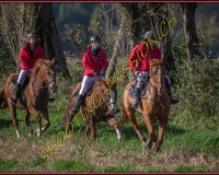 1CHASSE0223