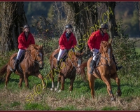 1CHASSE0225